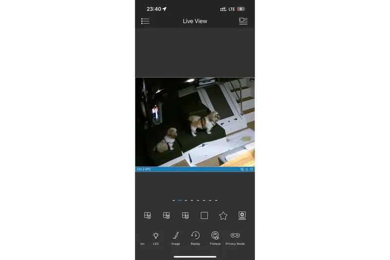 Chicago Yacht Photos Pics Two dogs on a Lagoon 52 F yacht, captured on a security camera.