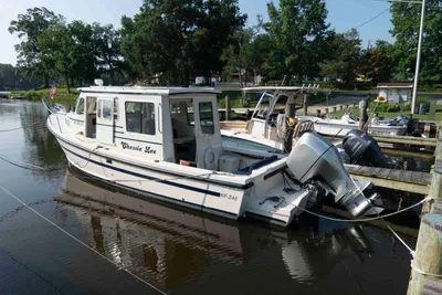 Rosborough RF-246 Sedan Cruiser