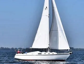 1971 Contest 33