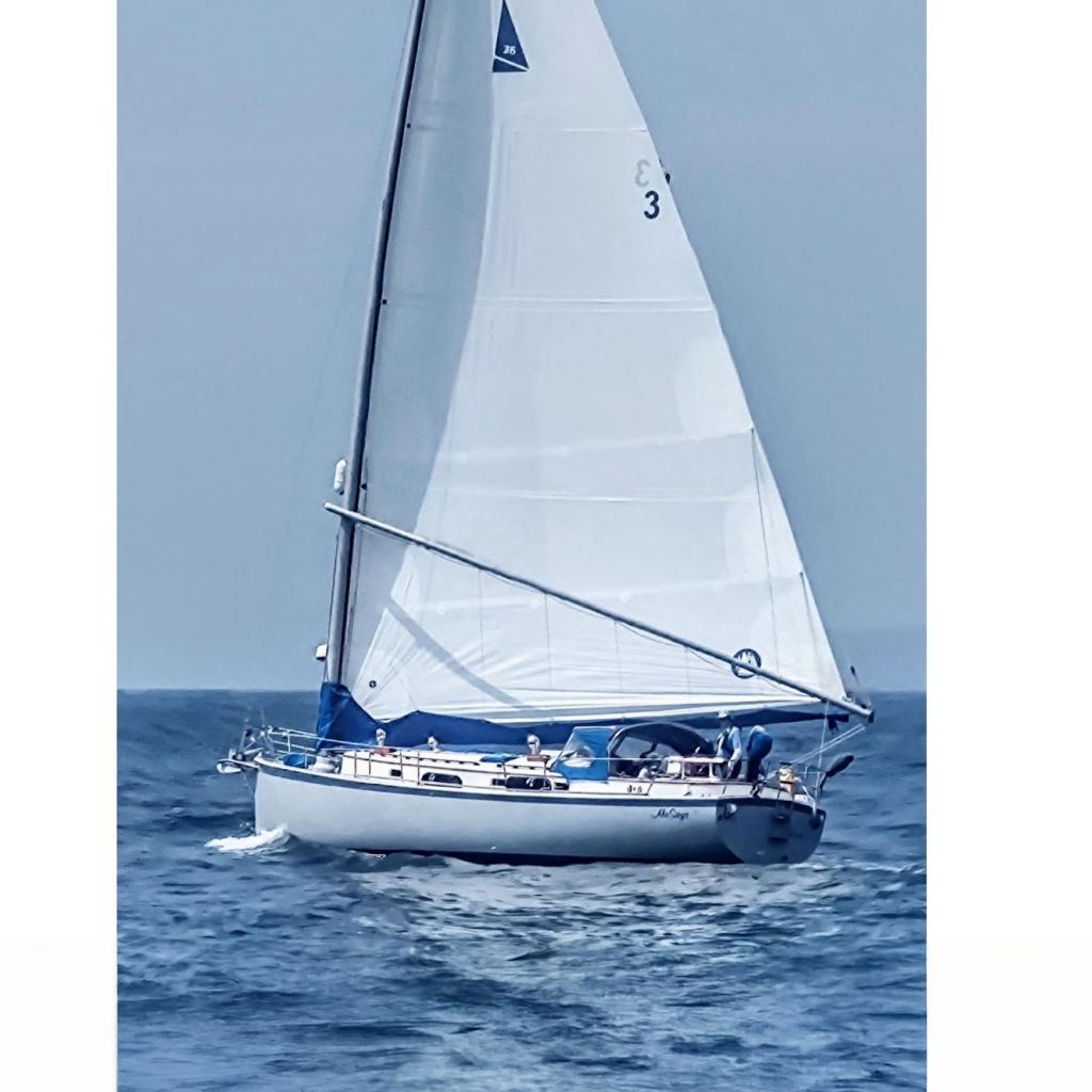 Nonsuch 36
