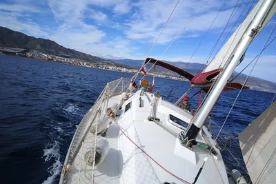 1989 Furia 302