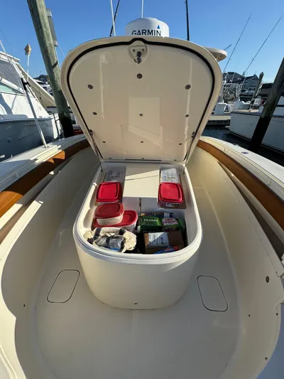 Electric Ark Yacht Photos Pics 