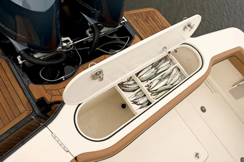 Electric Ark Yacht Photos Pics 