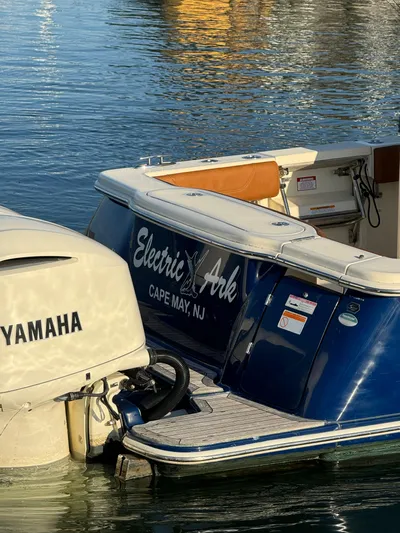 Electric Ark Yacht Photos Pics 