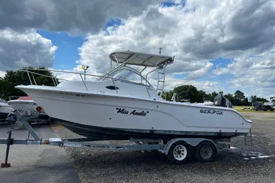 Sea Fox 236 Walk Around