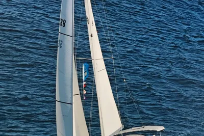 Catalina 350