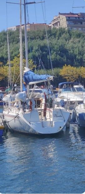 1991 Custom Fortuna 9