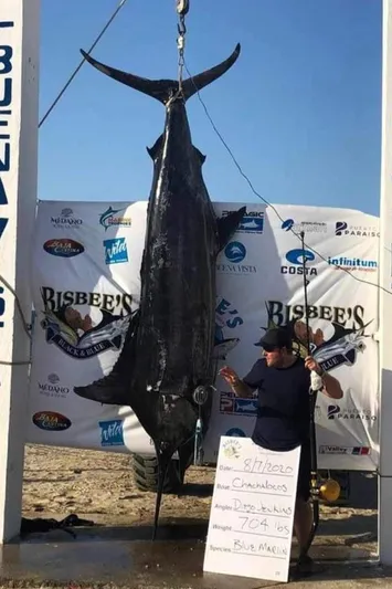  Yacht Photos Pics Man with large marlin at Bisbee's fishing tournament, Island Hopper Sportfisher, 2006.