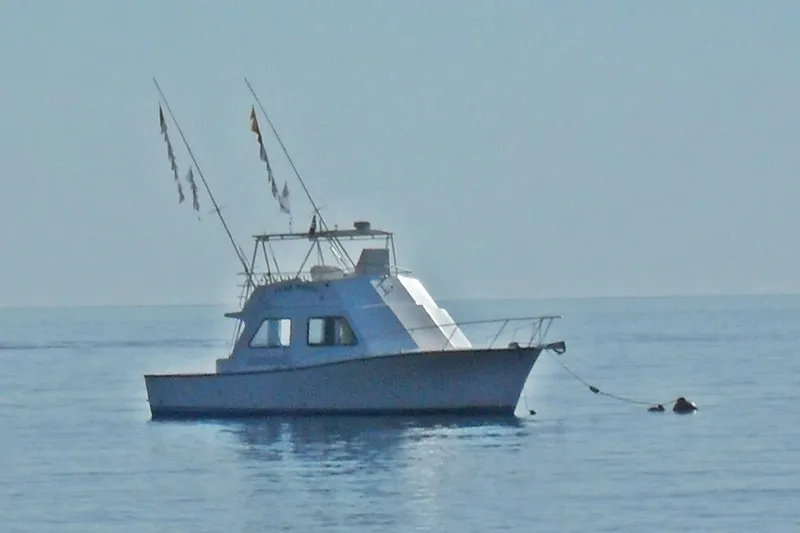  Yacht Photos Pics 