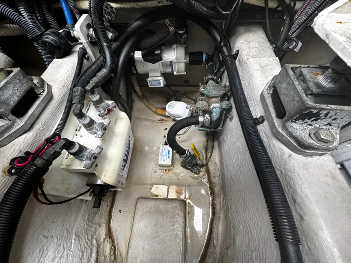 Gloria Yacht Photos Pics 