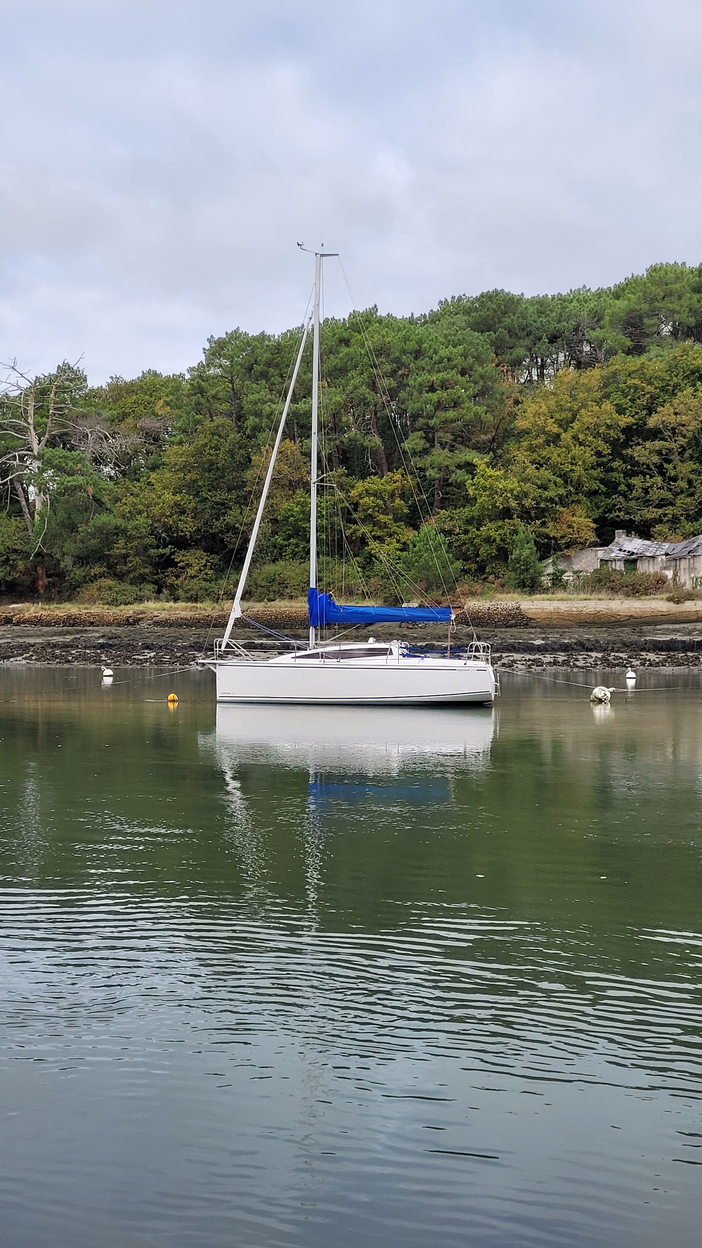 2016 Northman Maxus 26 biquille