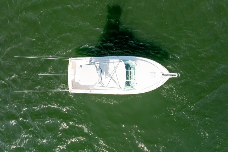 Dropping In Yacht Photos Pics 