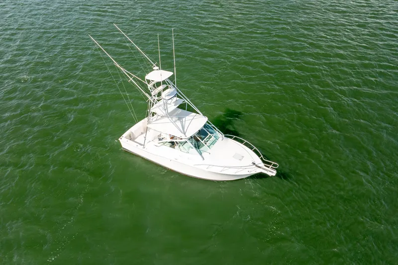 Dropping In Yacht Photos Pics 