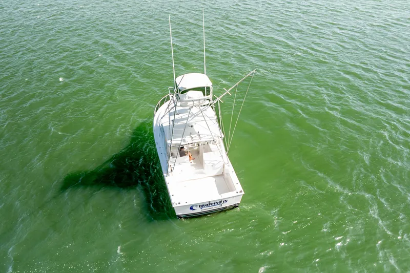 Dropping In Yacht Photos Pics 