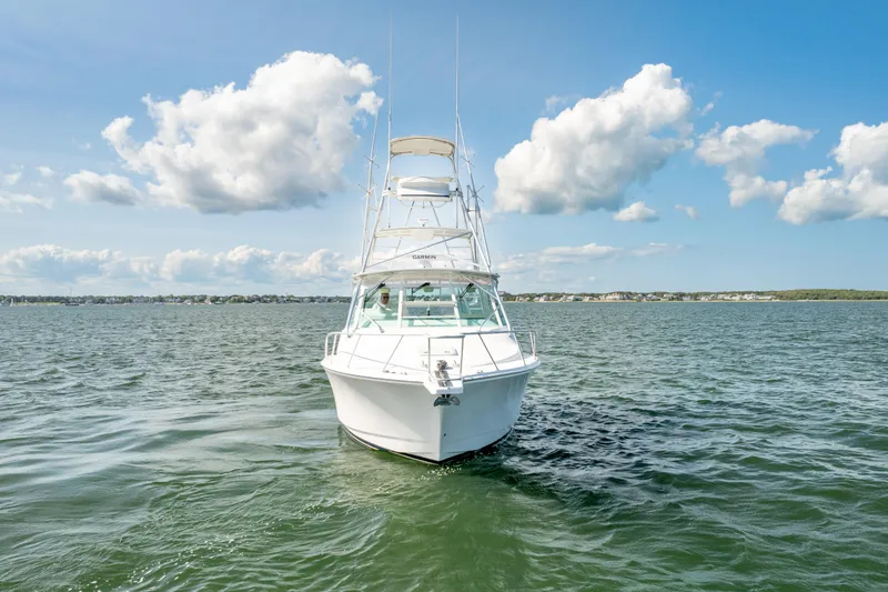 Dropping In Yacht Photos Pics 