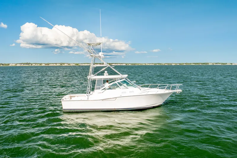 Dropping In Yacht Photos Pics 