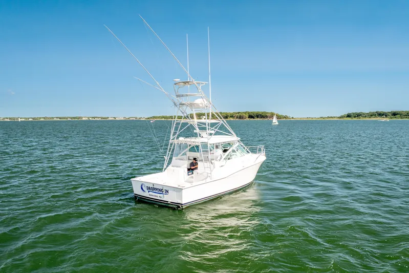 Dropping In Yacht Photos Pics 