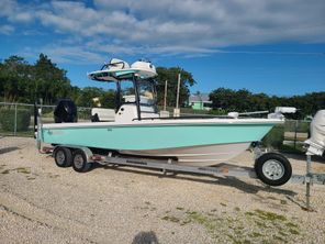 Everglades 243CC