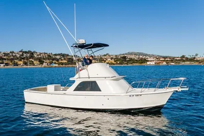 1978 Bertram 31 Flybridge Cruiser