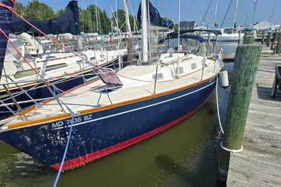 Tartan 31