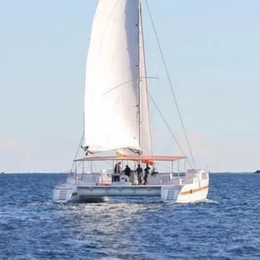  Yacht Photos Pics Sailing catamaran DAYCHARTER 2026 on open sea near forested coastline.