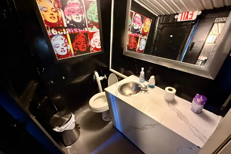 Island Princess Yacht Photos Pics Restroom with pop art decor, stainless steel sink, and modern amenities.