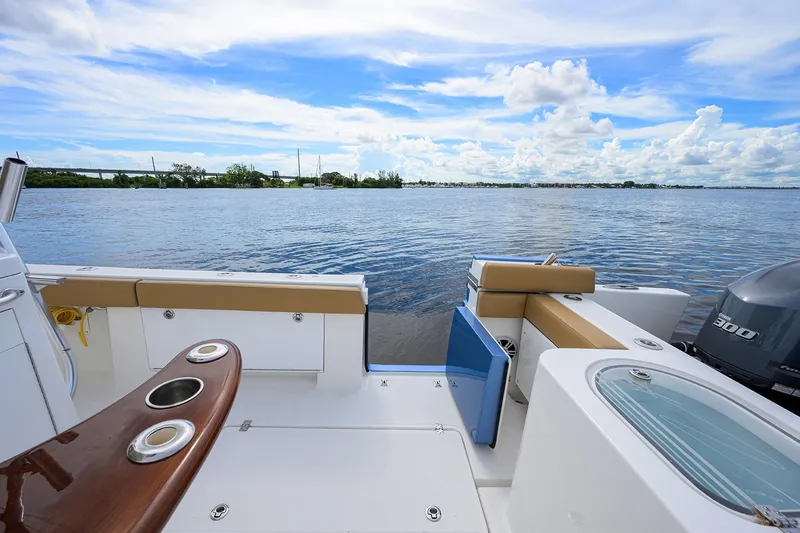 Tales N' Ales Yacht Photos Pics 2018 Buddy Davis 42 Center Console dive door