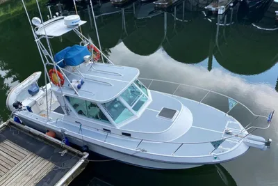 Albin Albin 31 Tournmnt Ex/sf