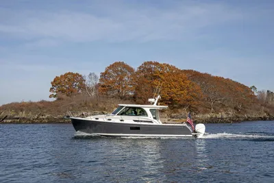 Back Cove 39O