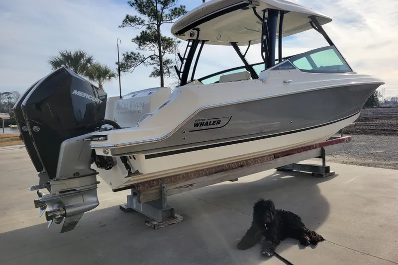  Yacht Photos Pics 2023 Boston Whaler 280 Vantage boat on trailer with a dog nearby.