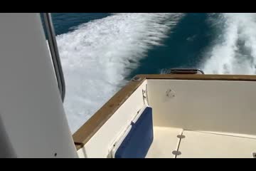 Video Placeholder