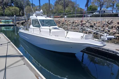 Introductory Rong Sheng RS 300 Walkaround Pilothouse