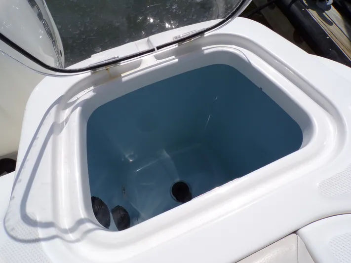  Yacht Photos Pics Boston Whaler 420 2018 livewell with open lid.