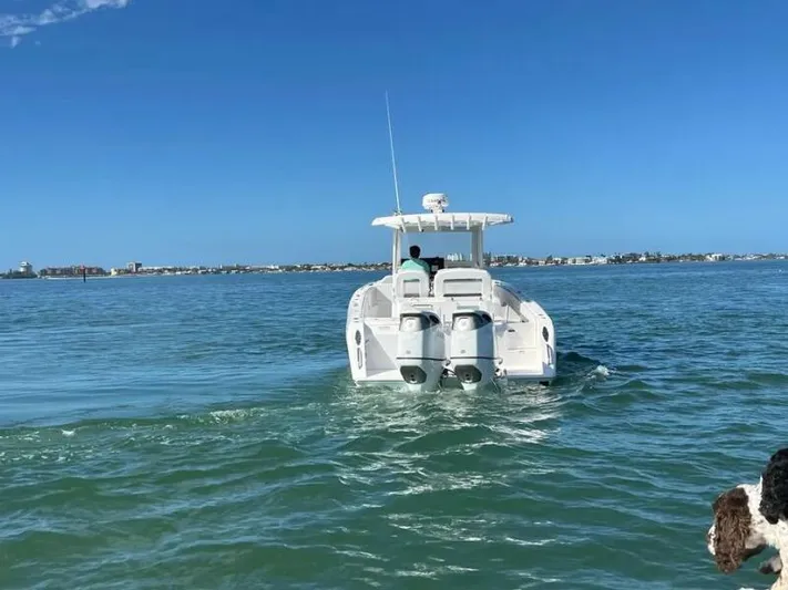  Yacht Photos Pics Profile