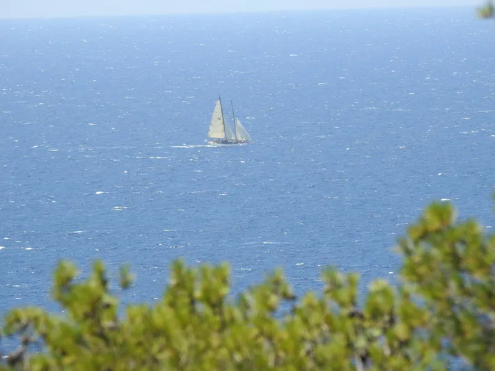 Armide Yacht Photos Pics Sailboat on open sea, 1938 Custom by Classic Works, distant view with greenery in foreground.