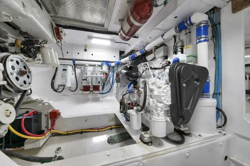 Bird Dog Yacht Photos Pics 