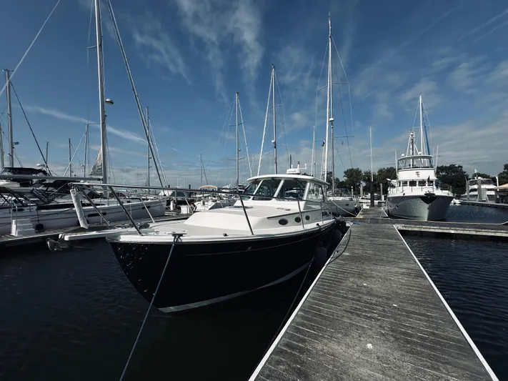 Someday Yacht Photos Pics 2012 Back Cove 34 yacht docked at marina under blue sky.