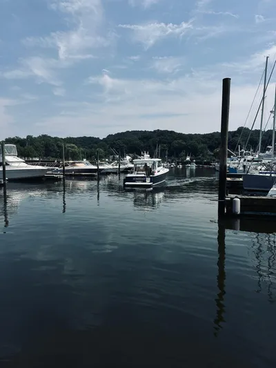 Someday Yacht Photos Pics 