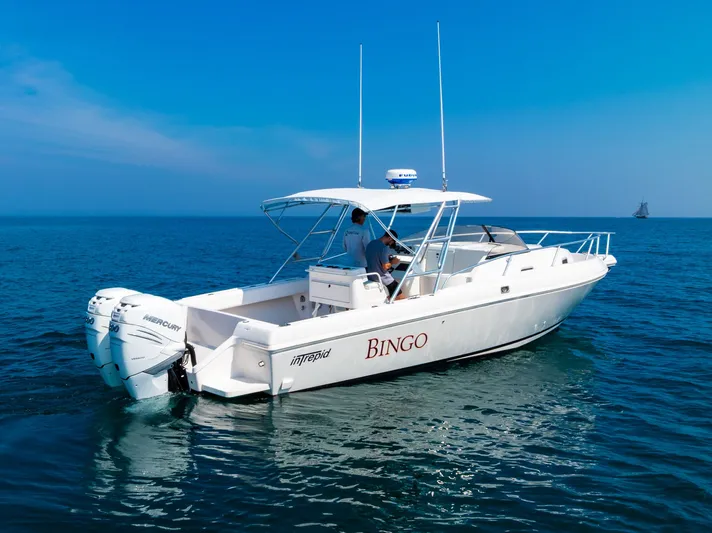 Bingo Yacht Photos Pics 
