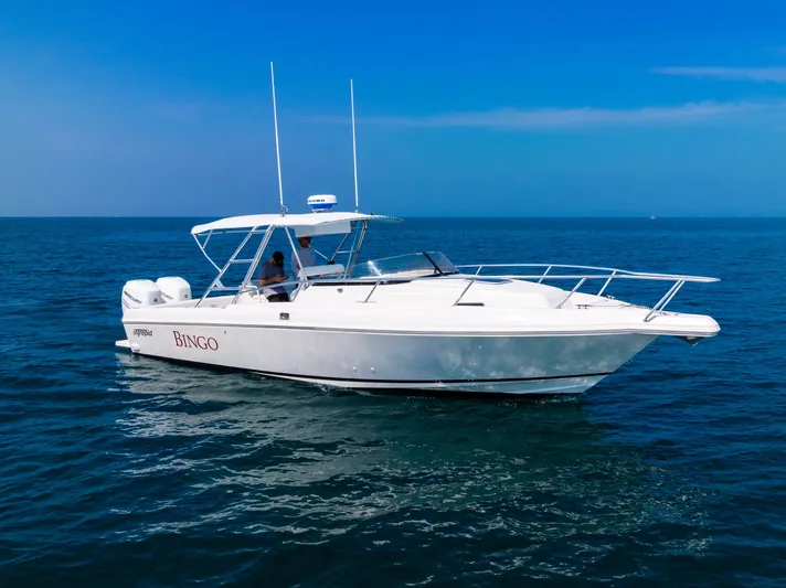 Bingo Yacht Photos Pics 