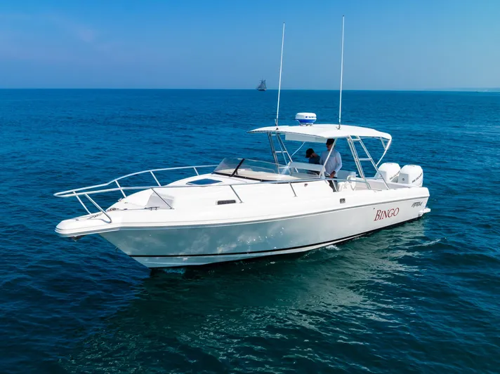 Bingo Yacht Photos Pics 