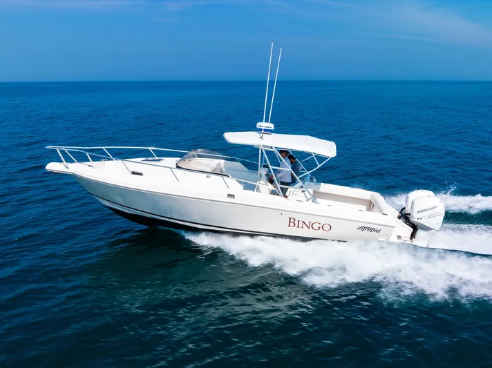 Bingo Yacht Photos Pics 