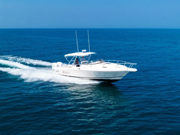 Bingo Yacht Photos Pics 