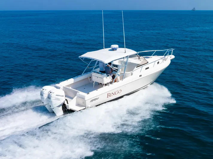 Bingo Yacht Photos Pics 
