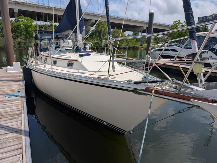 Juniper Yacht Photos Pics 