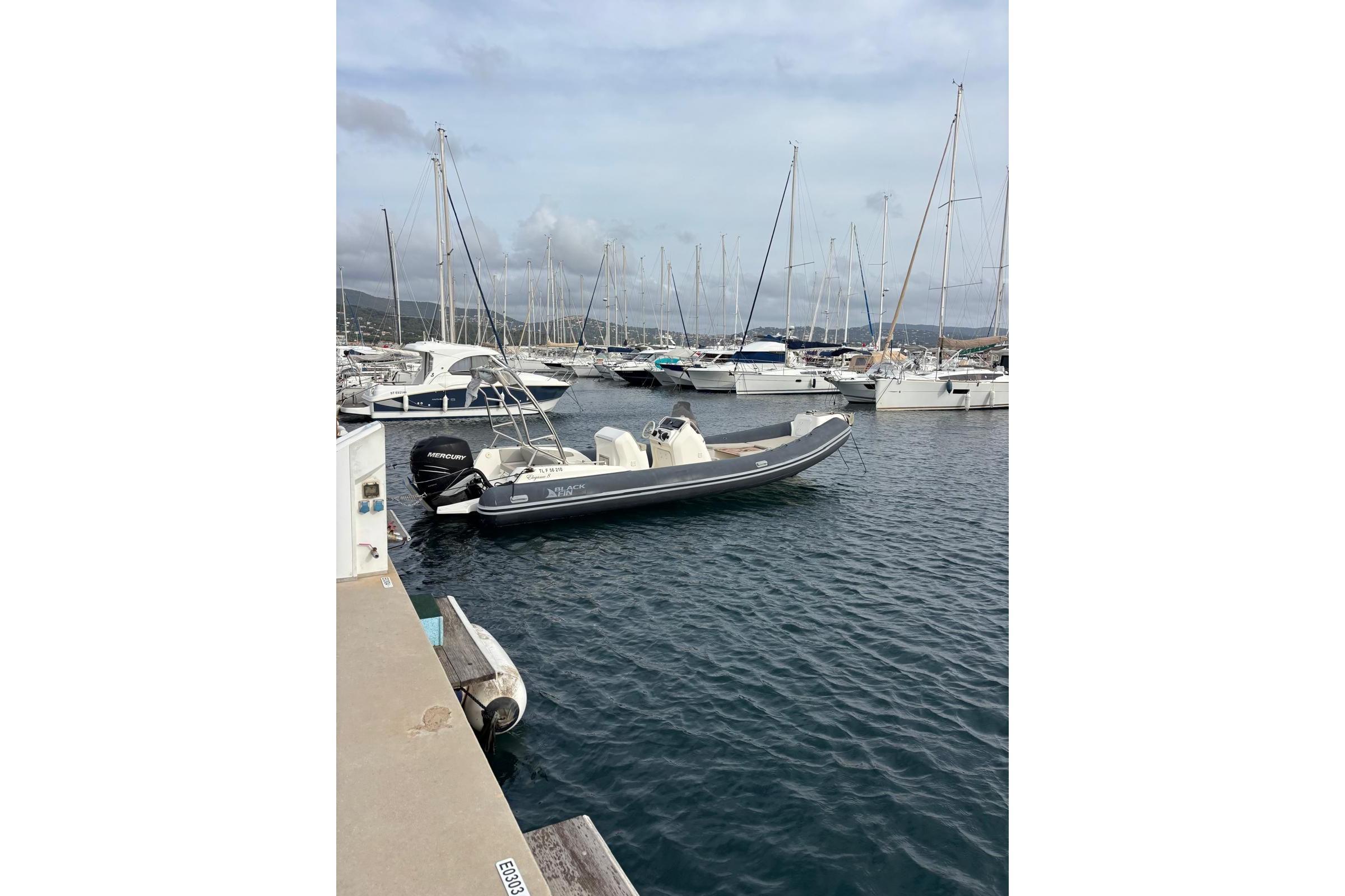 2017 Blackfin Elegance 8