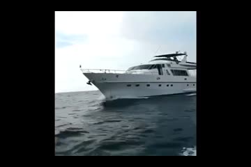 Video Placeholder