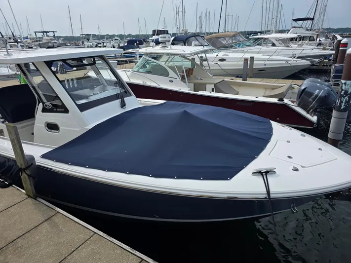 Over Bohr’d Yacht Photos Pics 