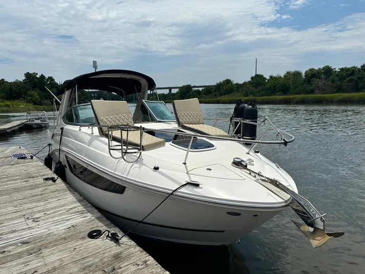 Sea Suite Yacht Photos Pics 