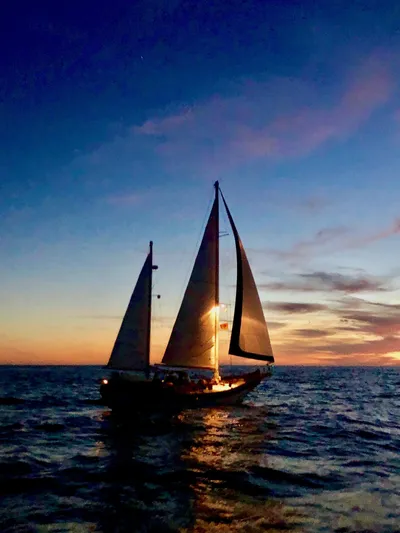 Violetta Yacht Photos Pics 